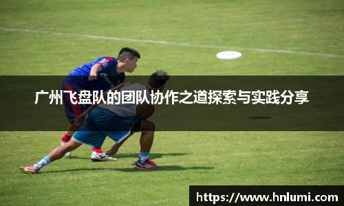 广州飞盘队的团队协作之道探索与实践分享